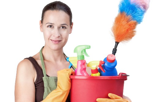 Professional steam carpet cleaning in Lee for a bright living room carpet