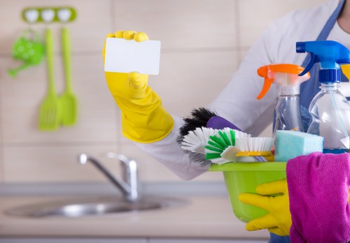 Deep cleaning process for pet odour treatment in a Lee home