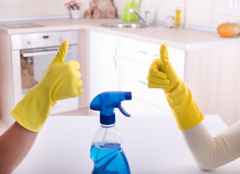 Cleaning supplies for stain removal in Lee on household surfaces