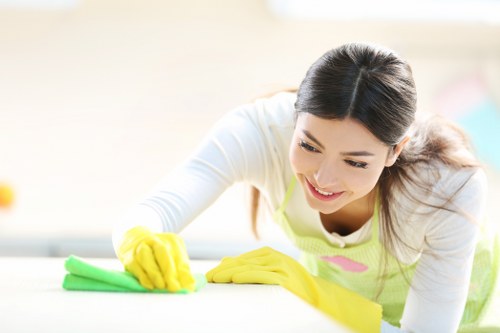 Deep carpet cleaning in Lee removing dirt and stains
