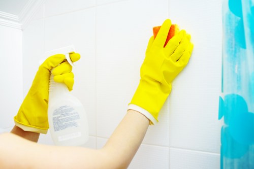 Reviewing carpet cleaning issue details and service notes