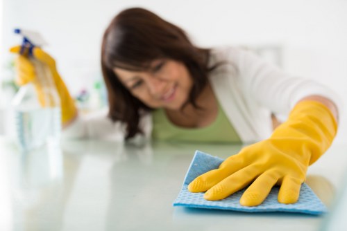 Fabric and clothing stain treatment in Lee