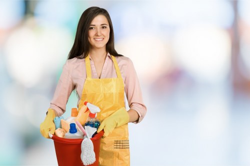 Cookie categories overview for Lee Carpet Cleaners
