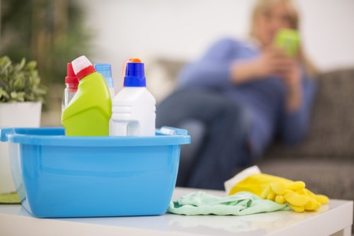 Upholstery and carpet pet stain odour removal in Lee