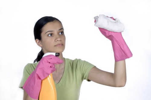 Risk assessment and safety checks before carpet cleaning work begins