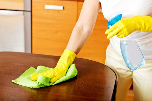 Spot treatment and stain removal during carpet cleaning in Lee