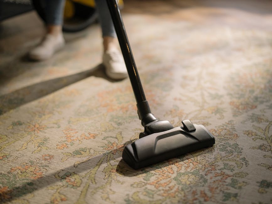 Close-up of a modern vacuum cleaner with a transparent dust container filled with debris, positioned on a beige carpet in a residential setting. The vacuum's flexible hose is attached to a wide, flat 